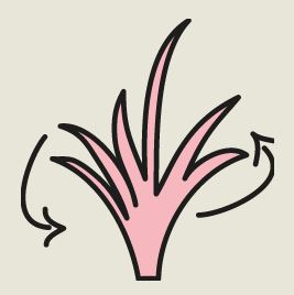 graphic1