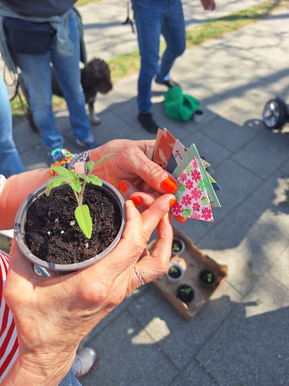 Stadtteilinitiative Stuttgart Pflanzentausch 20250405 134238