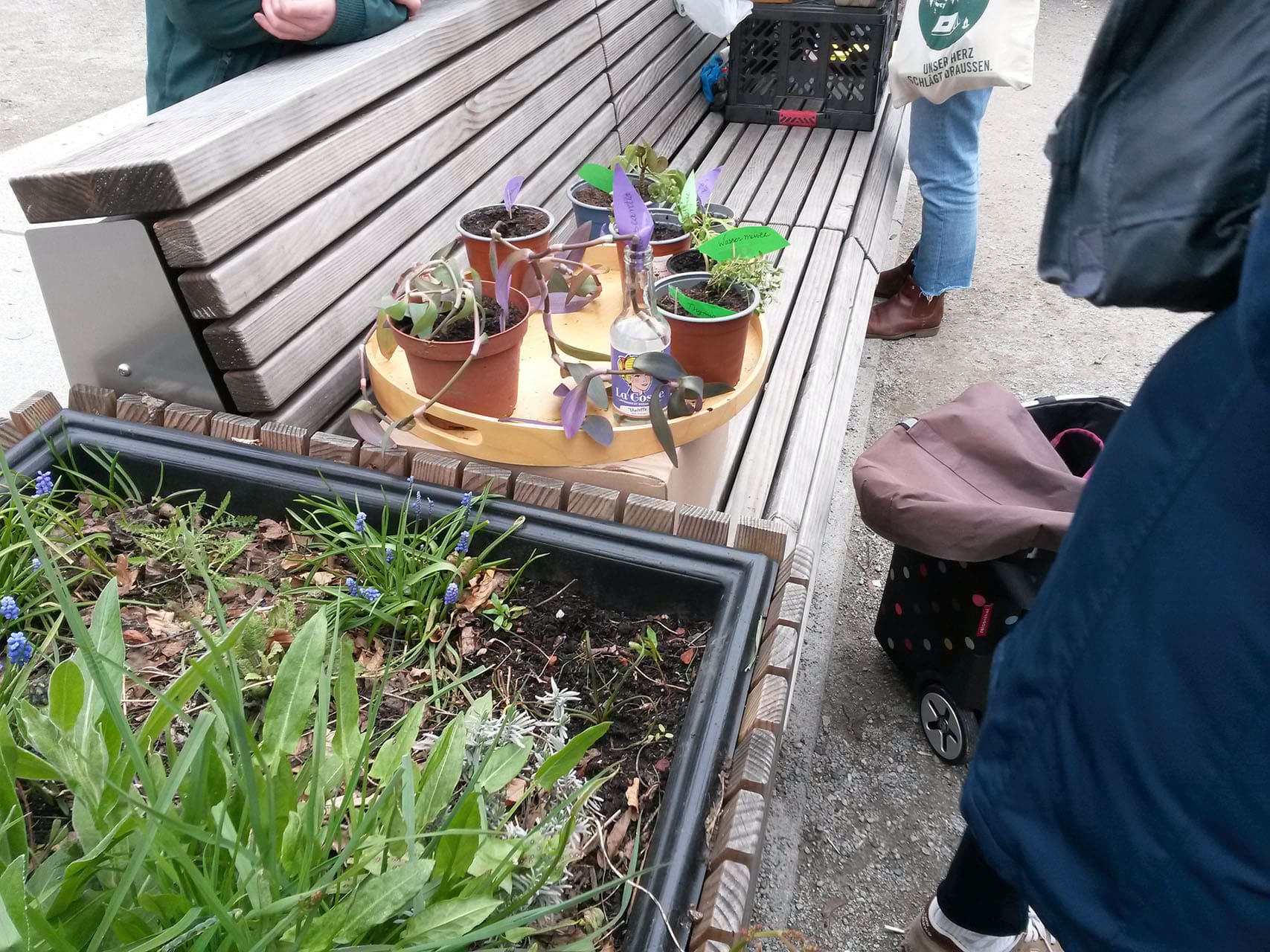 Stadtteilinitiative Stuttgart Pflanzentausch 20260328 133511